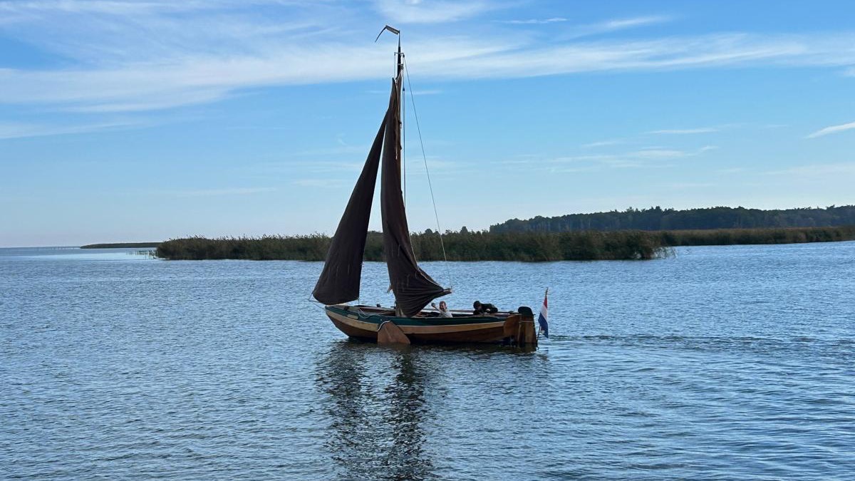 Die „Froukje“, ein hölzernes Segelboot mit dunklen Segeln, unter Segeln auf dem Stettiner Haff vor einem Schilfgürtel.
